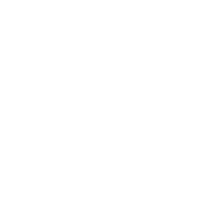 LeahV Solutions logo